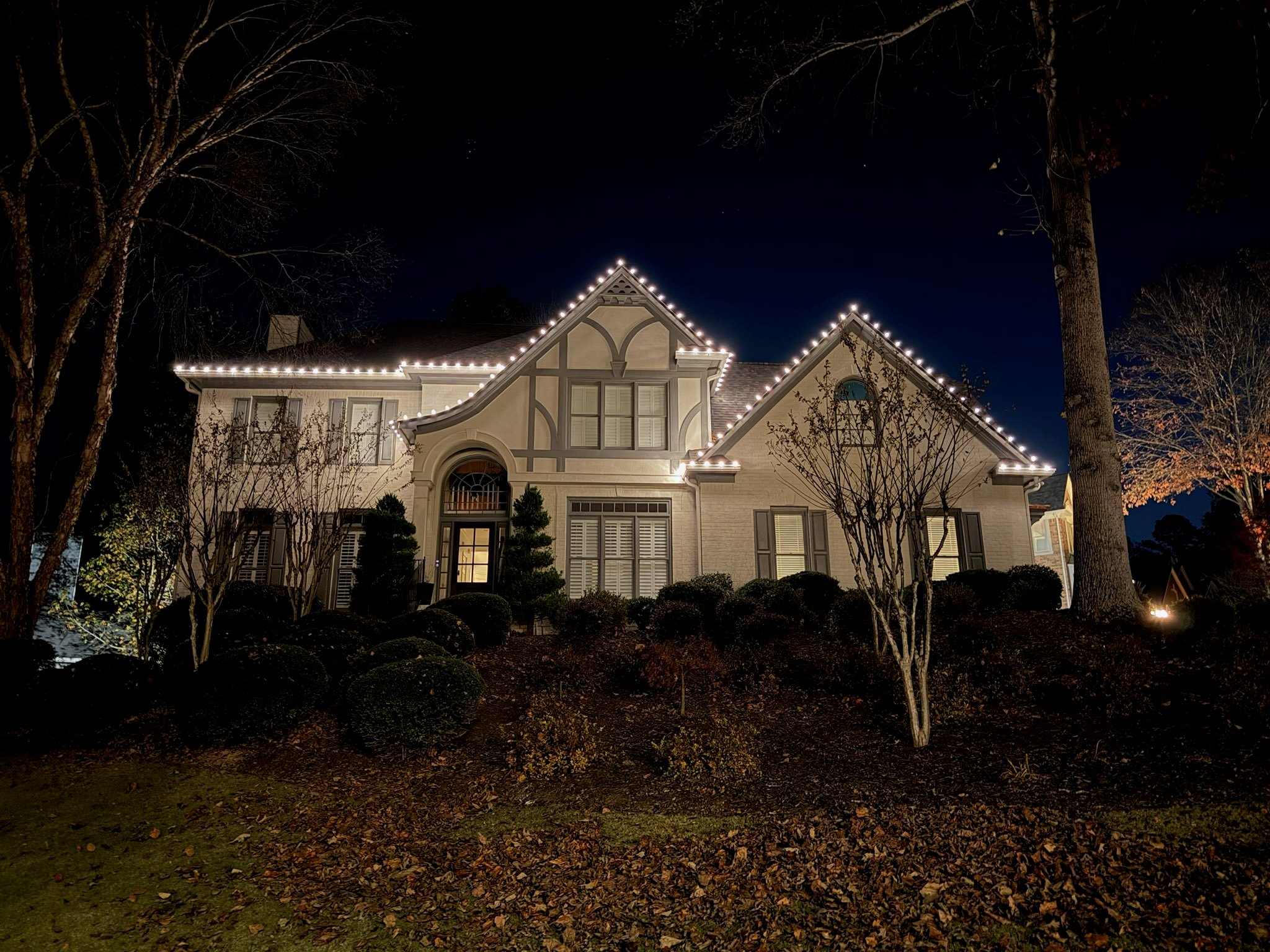 Christmas Light Installation