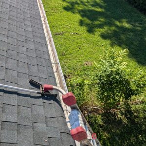 pxl 20250703 135445672