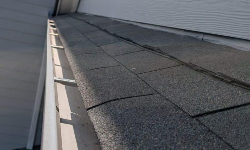 Roof shingles with gutter edge
